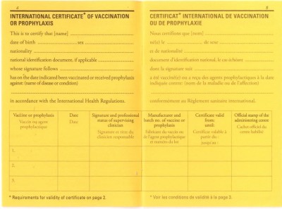 WHO International certificate of vaccination | Thai Travel Clinic Blog